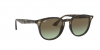 OKULARY RAY-BAN® RB 4259 731/E8 51 ROZMIAR M
