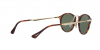 OKULARY PERSOL® PO 3166S 24/31 51 ROZMIAR M