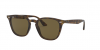 OKULARY RAY-BAN® RB 4258 710/73 50 ROZMIAR M