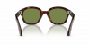 OKULARY PERSOL® PO 0060S 24/4E 50 ROZMIAR M