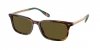 OKULARY POLO RALPH LAUREN PH 4212 613773 57 ROZMIAR L
