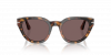 OKULARY PERSOL® PO 3379S 105253 54 ROZMIAR M