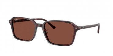 OKULARY RAY-BAN® RAIMOND RB 2231 1416C5 56 ROZMIAR M