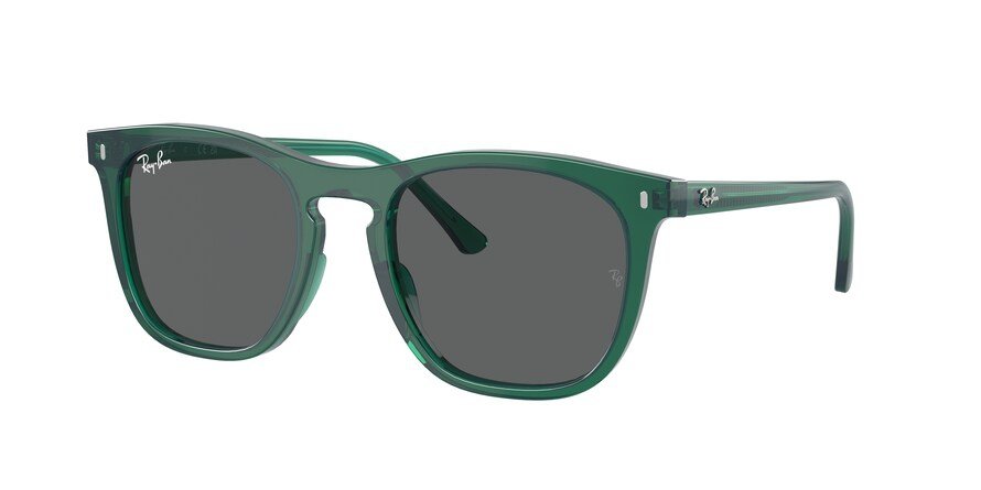 OKULARY RAY-BAN® RB 2210 6615B1 53 ROZMIAR M