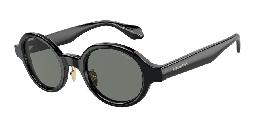 OKULARY GIORGIO ARMANI AR 8205 6060/1 46 ROZMIAR S