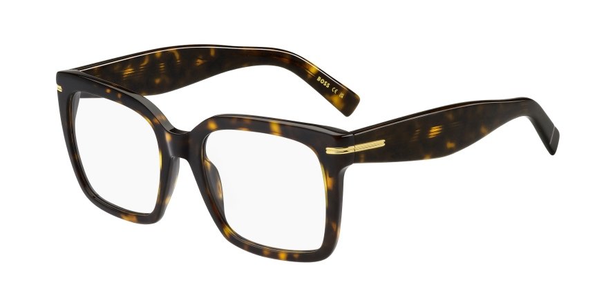 OKULARY KOREKCYJNE BOSS BOSS 1733 086 53 ROZMIAR M