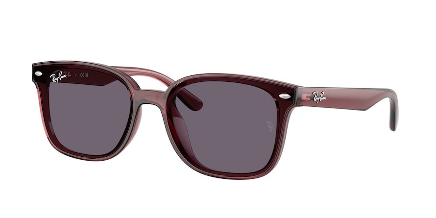 OKULARY RAY-BAN® RB 4461D 659373 64 ROZMIAR L