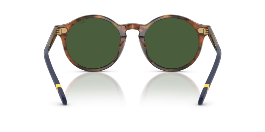 OKULARY POLO RALPH LAUREN PH 4204U 562571 50 ROZMIAR M