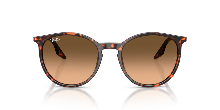 OKULARY RAY-BAN® RB 2204 14293B 51 ROZMIAR M