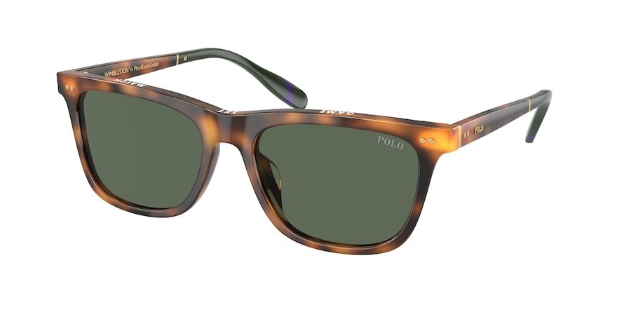 OKULARY POLO RALPH LAUREN PH 4205U 608971 56 ROZMIAR M