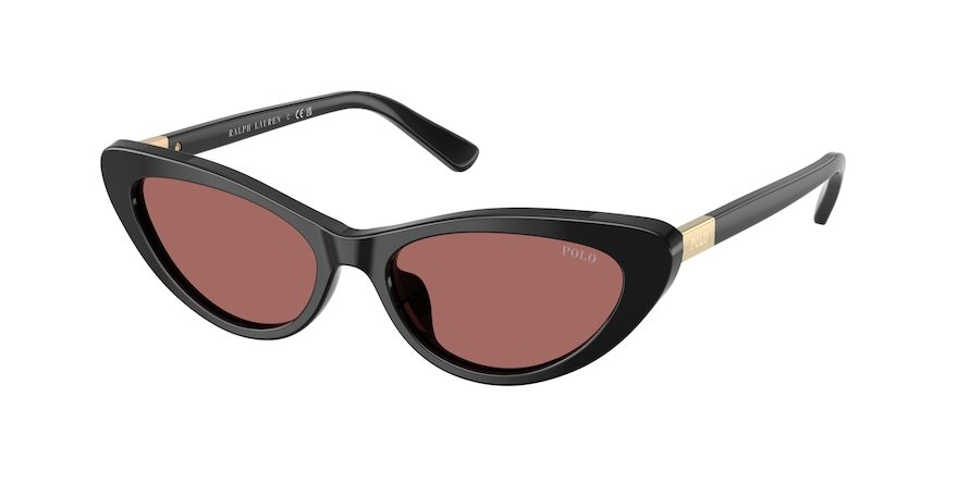 OKULARY POLO RALPH LAUREN PH 4199U 500169 54 ROZMIAR M