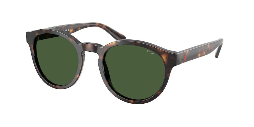 OKULARY POLO RALPH LAUREN PH 4192 500371 51 ROZMIAR M