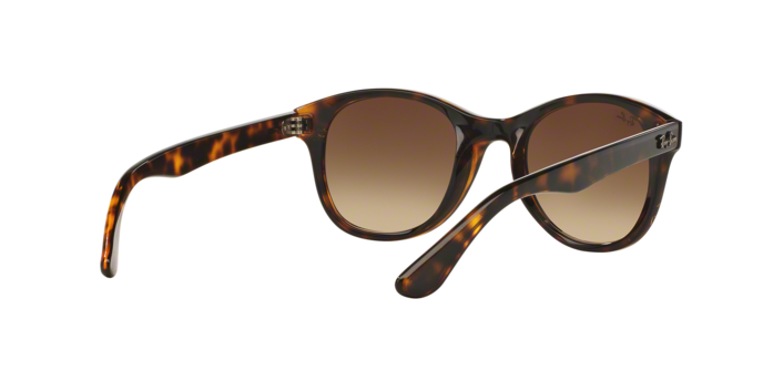 OKULARY RAY-BAN® RB 4203 710/13 51 ROZMIAR M