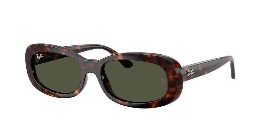 OKULARY RAY-BAN® RB 2221 902/31 53 ROZMIAR M