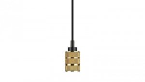 Lampa dekoracyjna wisząca złota 2 pierścienie 1m E27 max 60W IP20 V-TAC VT-7999