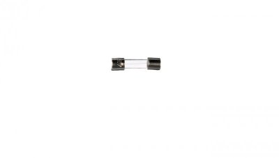 Wkładka aparatowa 5x20mm 1A F /szybka/ 250V 006710003 /10szt./