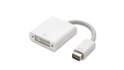 Qoltec Adapter Mini Displayport DVI na DVI (24+5) Full HD 0.16m