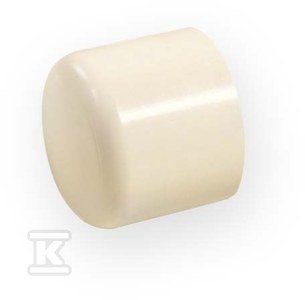ZAŚLEPKA KW 3/4&quot; PVC-C