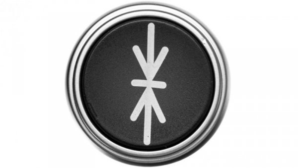 Napęd przycisku 22mm czarny z samopowrotem bez adaptera symbol -II (- LPCB1512