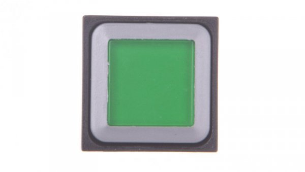 Napęd przycisku zielony z podświetleniem z samopowrotem Q18LT-GN/WB 088509