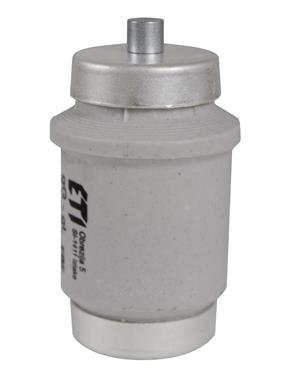 BIWTS DIV DZ GF WKŁADKA TOPIKOWA SZYBKA 100A R1 1/4 500V