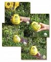 Yerba Mate Green Menta Boldo 500g 0,5kg Despalada