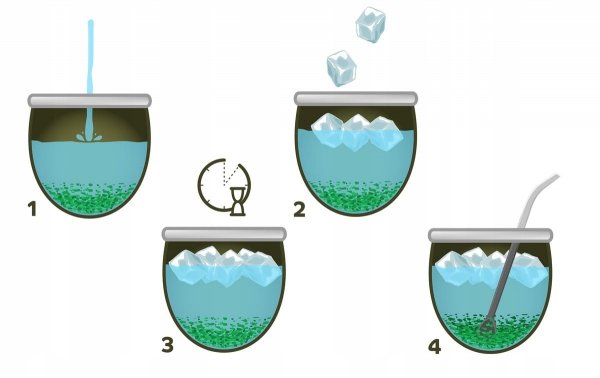 Yerba Mate Green Melon de Guava - 500 g Ananas Guawa