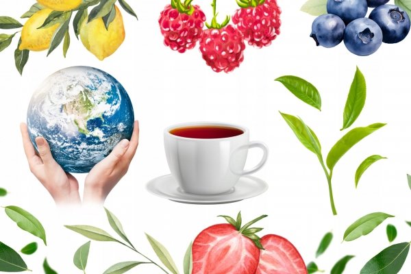 Herbata Jabłko Mięta Pieprzowa Lukrecja Ziołowo Owocowa 20T. Babcia Jagoda