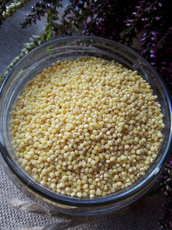Kasza jaglana Naturalna 500g Vivio 0,5 kg