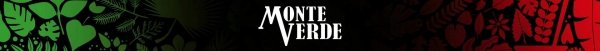 Yerba Mate MONTE VERDE owocowa FRUTOS MANGO tropikalne owoce 500g 0,5kg