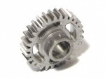IDLER GEAR 29 TOOTH (1M)