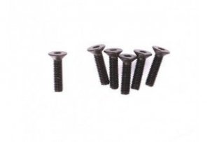 Flat Head Hex M3x14 6szt - 10249