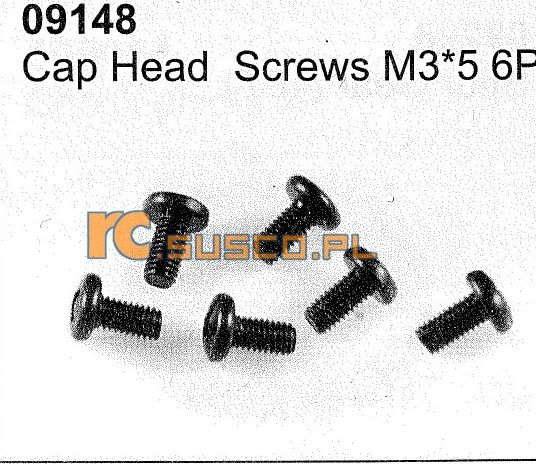 Cap head screws M3*5 6P