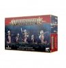 Daughters of Khaine: Blood Sisters / Blood Stalkers