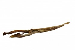 Maced SU Skóra z Sarny 45cm 1szt