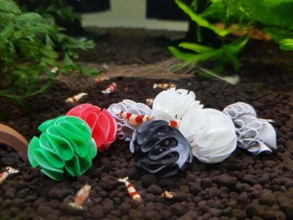 Baby Shrimp Shelters Czarny 20 szt