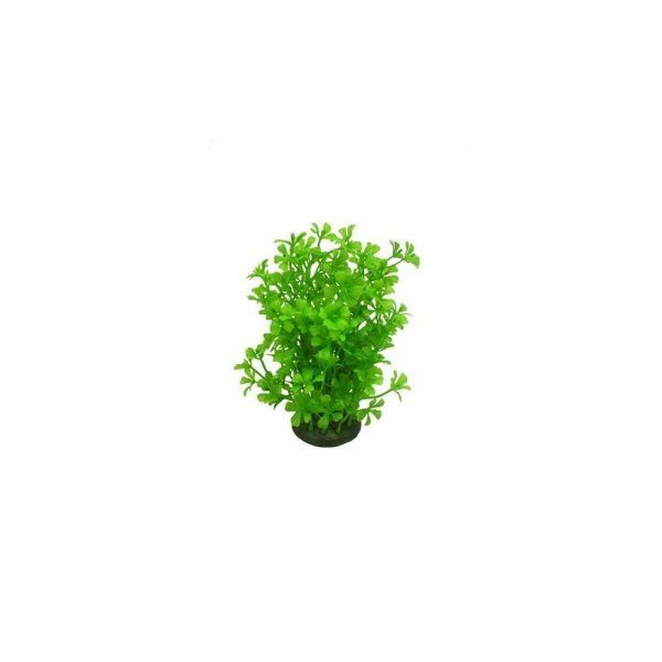 Aquael Roślina Kępkowa CP-057 6 (15cm)