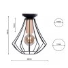 MILAGRO Lampa sufitowa WILL BLACK 1xE27
