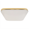 Plafon NEMO GOLD 17W LED