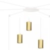 EMIBIG TRAKER 6 WH/GOLD