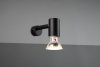 LAMPKA NA WYSIĘGNIKU LORENZO 283500132 TRIO