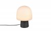 STEEN 568200132