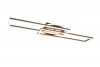 TWISTER R67183107 REALITY LEUCHTEN