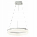 REALITY CORNELIA 330601-01 LAMPA WISZĄCA LED KOŁO OBRĘCZ RING BIAŁY