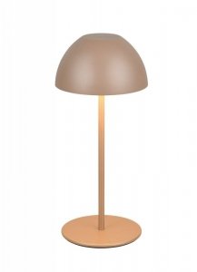 ORTIZ R55601165