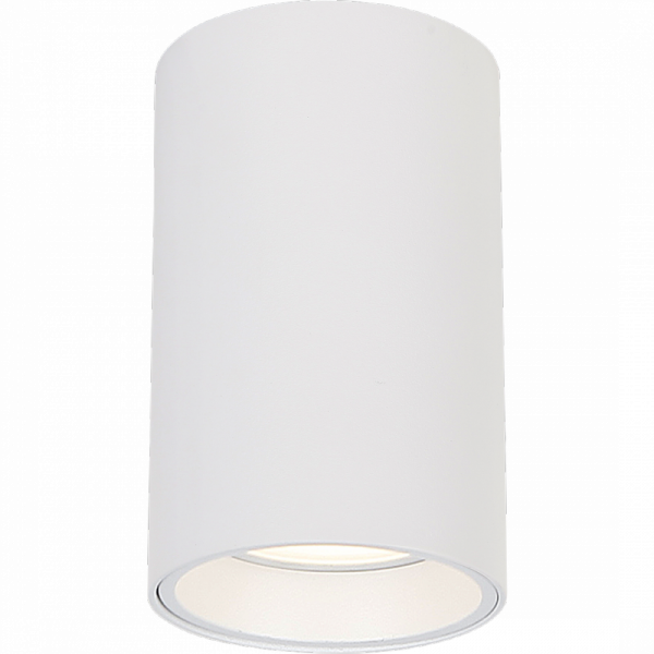 GENESIS SPOT WHITE 1xGU10 10cm