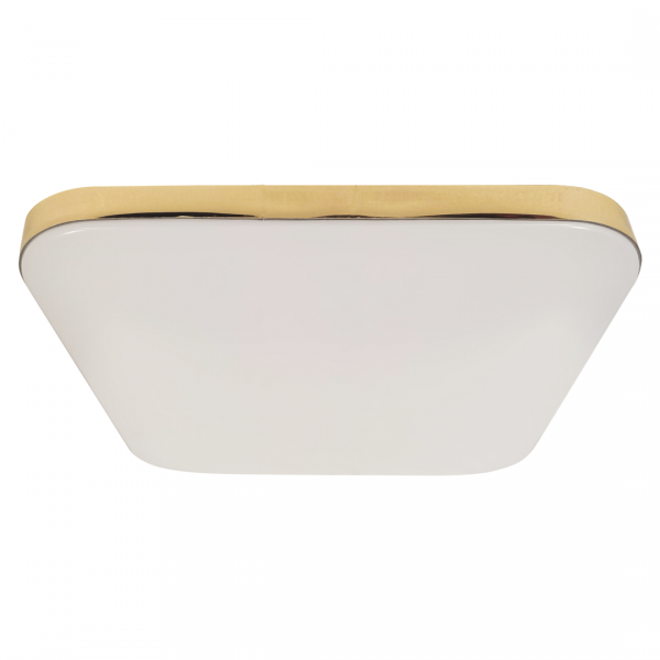 Plafon NEMO GOLD 17W LED
