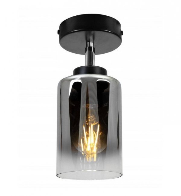Reflektor sufitowy  - HELLA 2320/KP LIGHT HOME