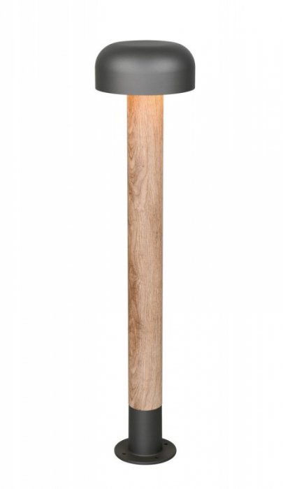 FRASER 462560135