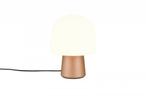 STEEN 568200165